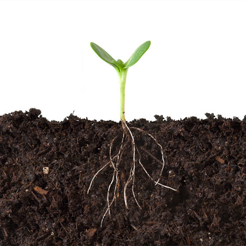 羧甲基纤维素钠在土壤改良剂中的应用